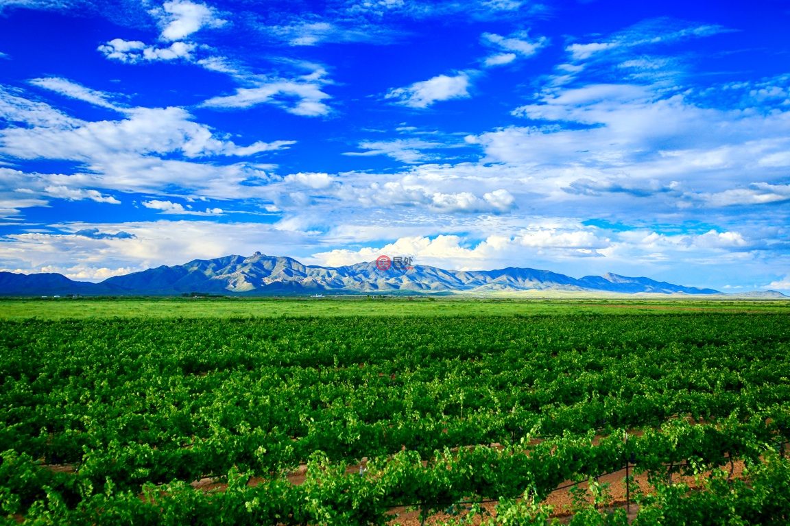 美国亚利桑那州威尔科克斯的酒庄，8401 S Bell Ranch Road，编号66729531