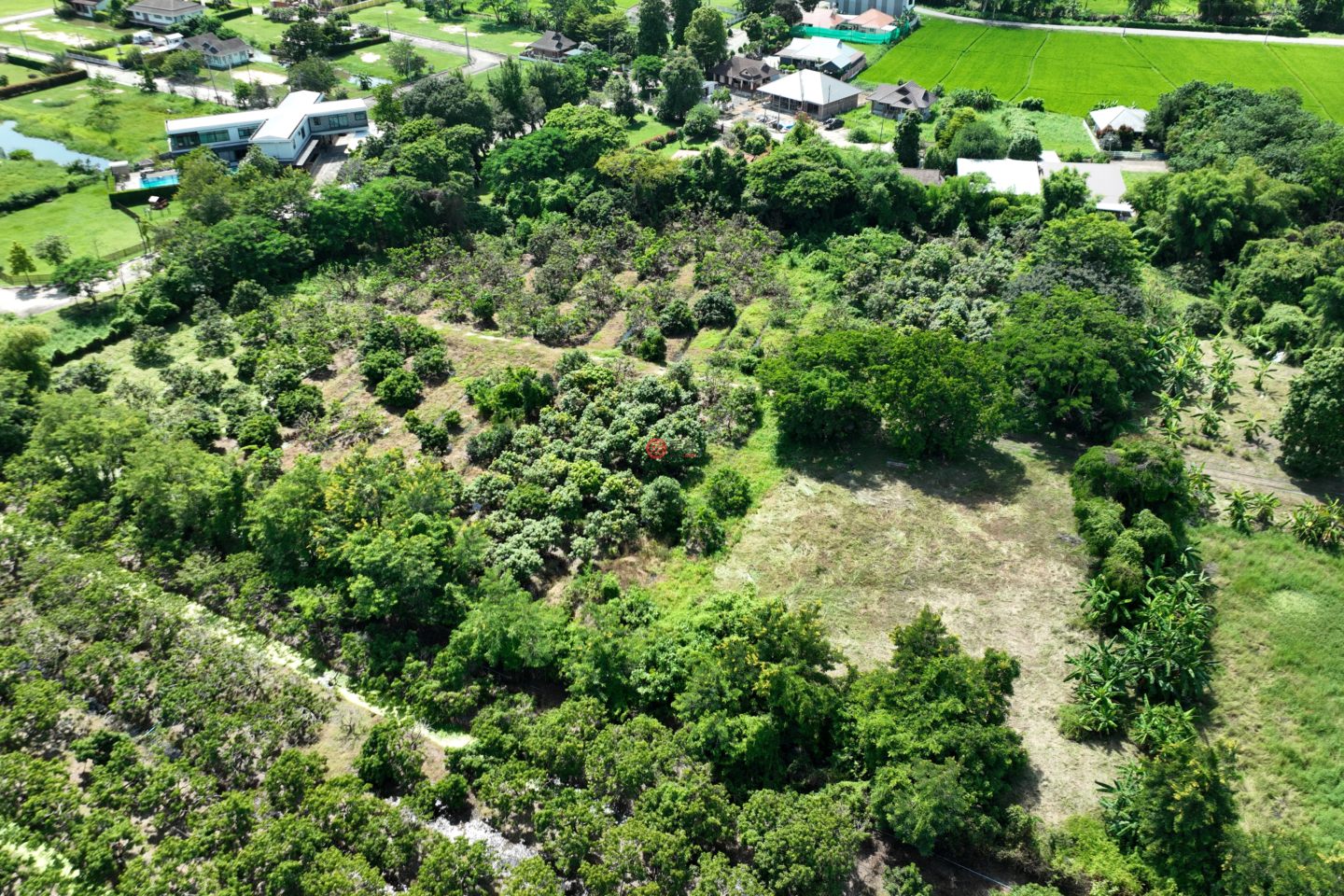 泰国Chang Wat Chiang MaiChiang Mai的住宅用地,Doi Saket District,编号76917077