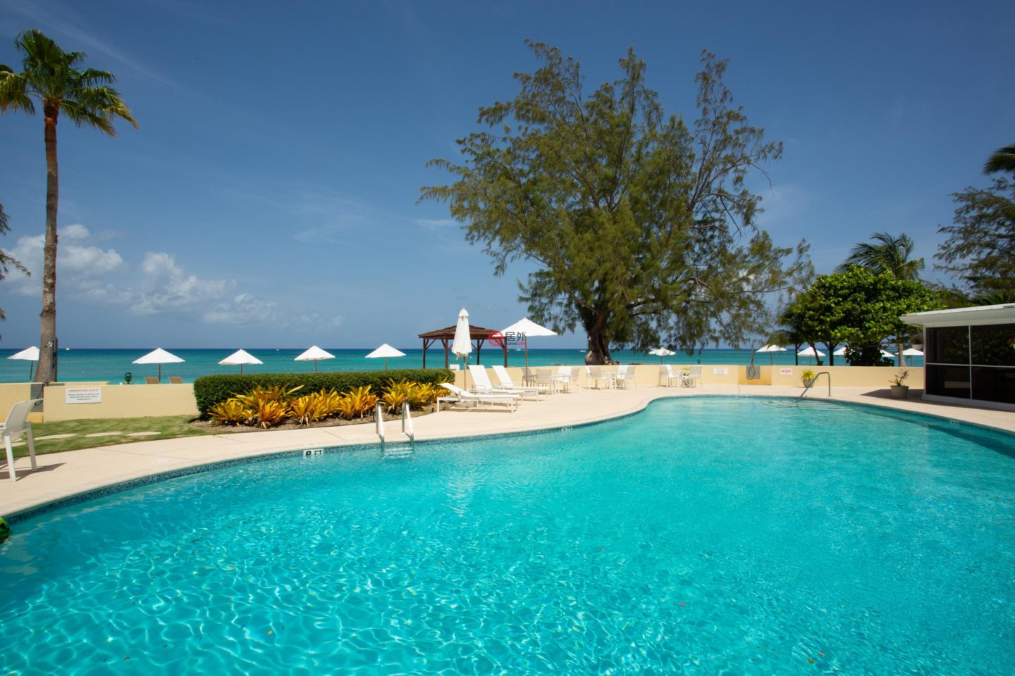 开曼群岛Seven Mile Beach的公寓，Harbour Heights 44，编号78075295