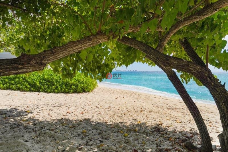 开曼群岛的公寓，208H1，编号78514613