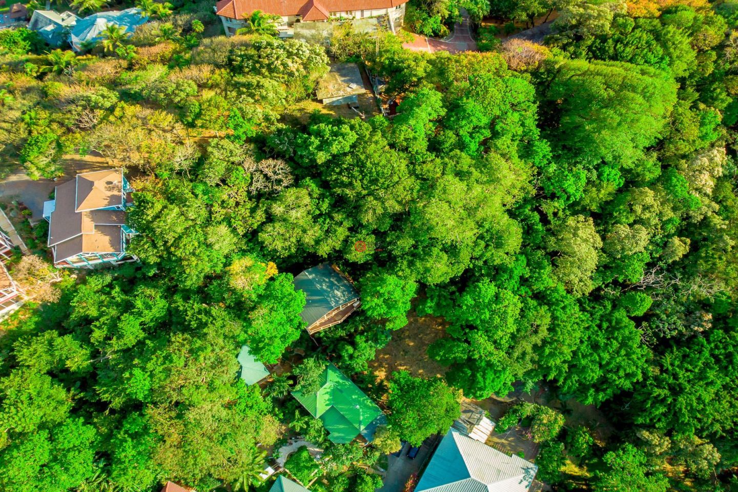 洪都拉斯海湾群岛Roatán的住宅用地，Beautiful West Bay Lot of 0.45 Acres with Ocean Views，编号77263658