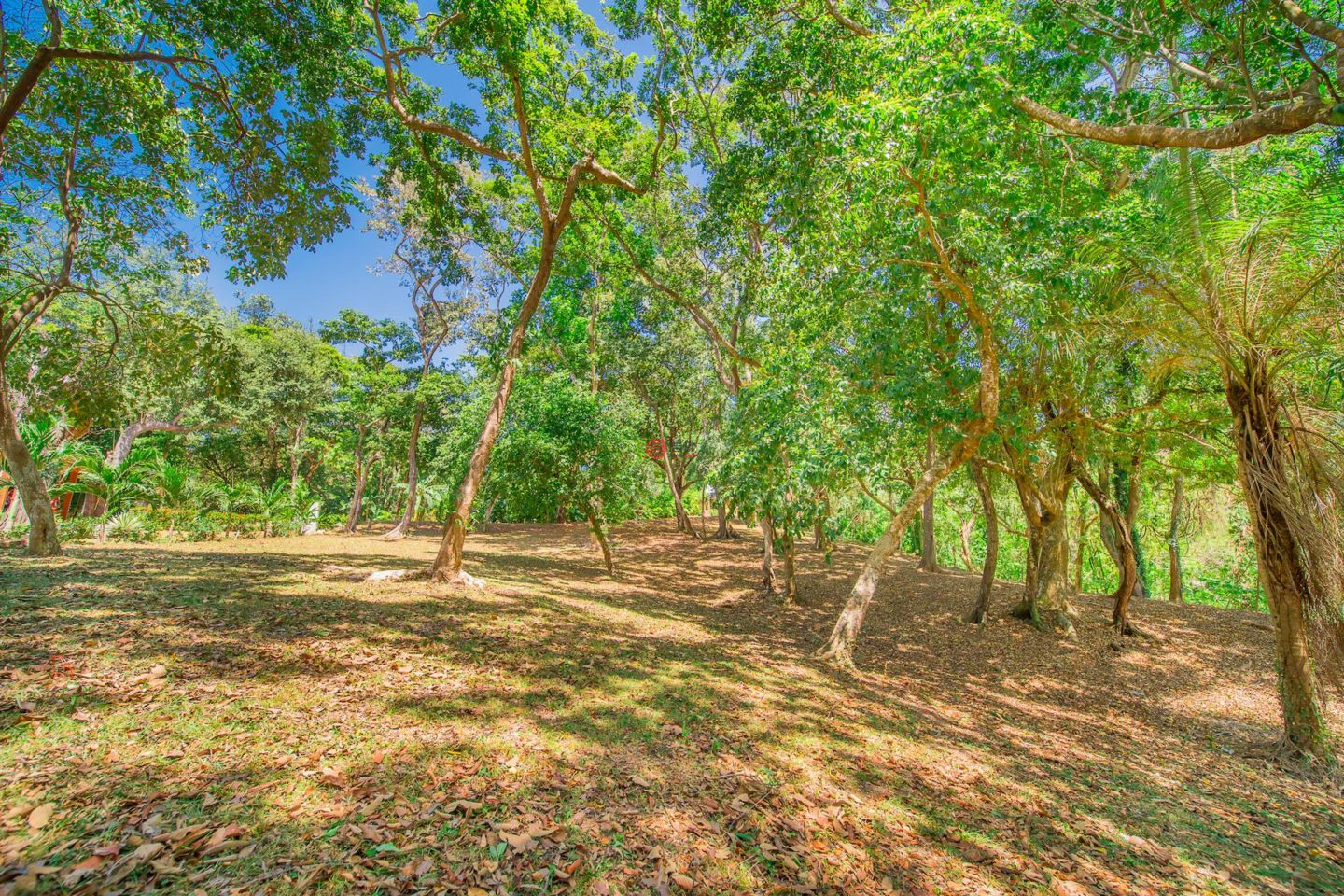 洪都拉斯海湾群岛Roatán的住宅用地，Lot 35 in the Prestigious Lawson Rock，编号76794716