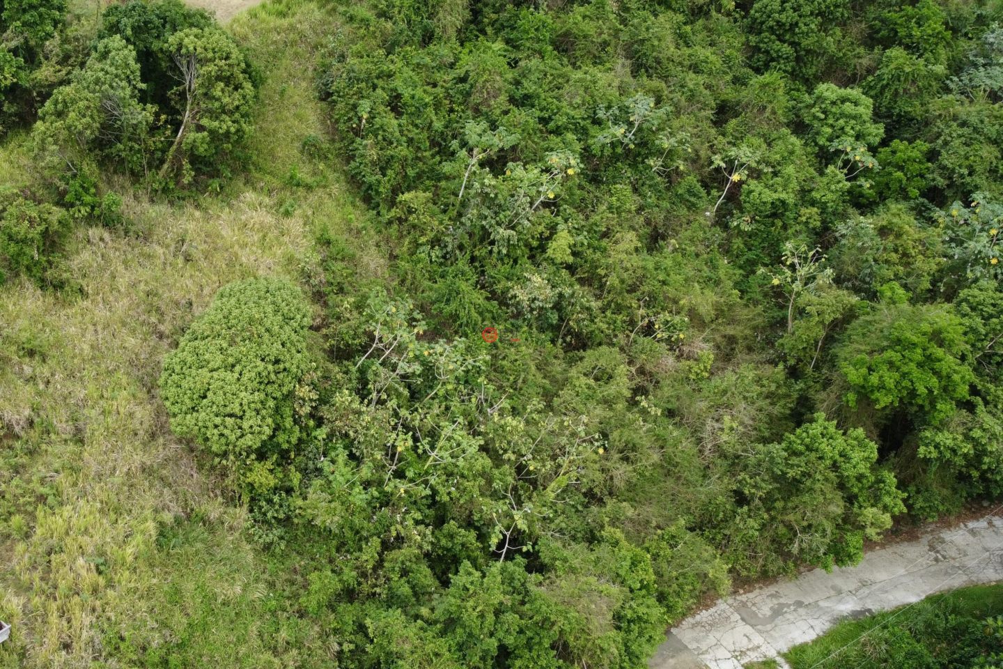 英属维尔京群岛的住宅用地，Cane Garden Mountain View，编号77642337