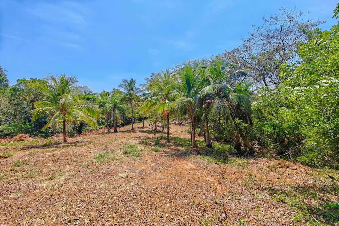 洪都拉斯海湾群岛Roatán的住宅用地，Beautiful Oceanfront Bluff Between West End & West Bay，编号78338279