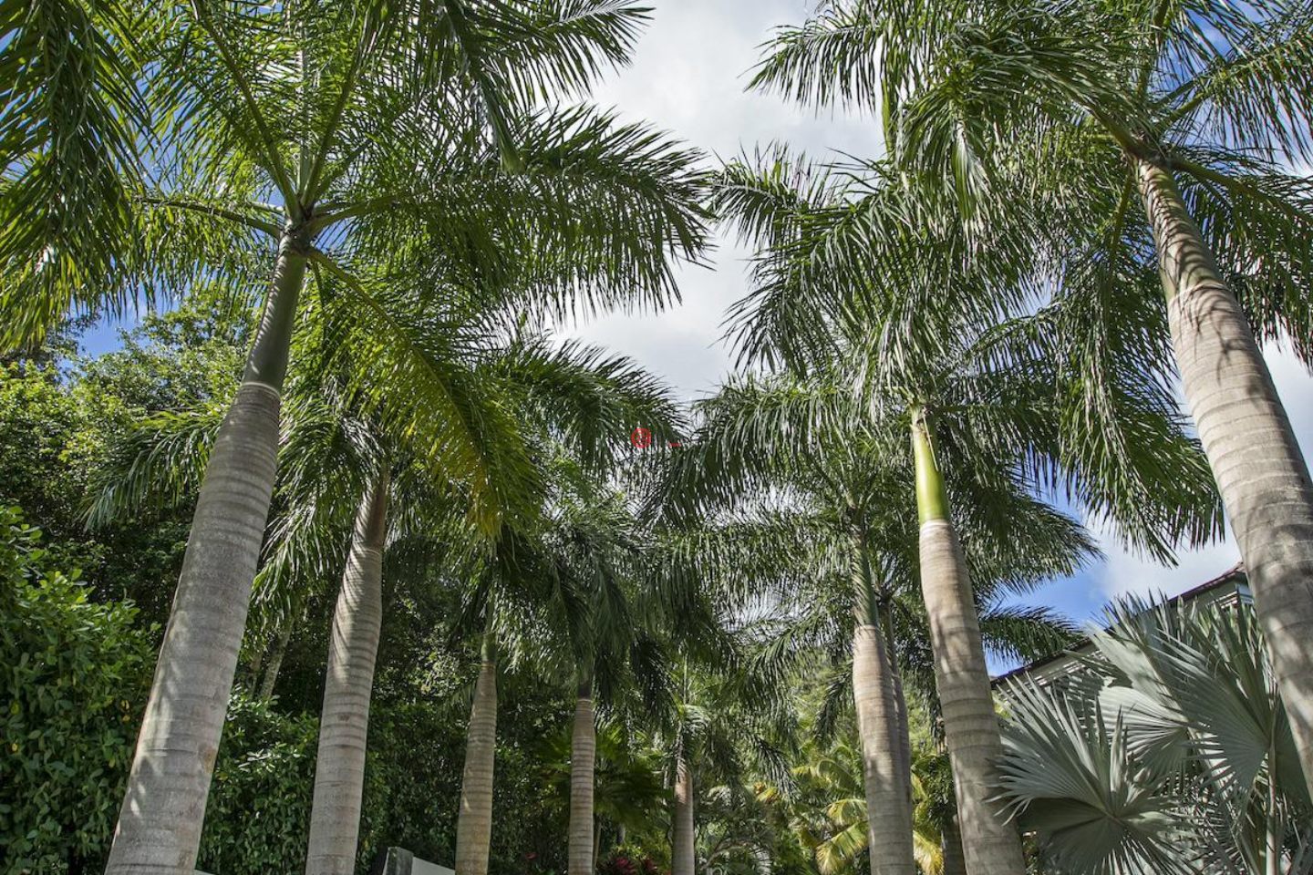 美属维京群岛St. John的独栋别墅，3-3 Estate Catherineberg，编号77184723