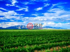 美国亚利桑那州威尔科克斯的酒庄，8401 S Bell Ranch Road，编号66729531