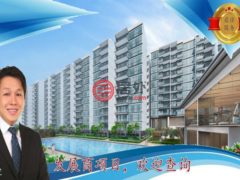 新加坡SingaporeSingapore的公寓，Tampines street 11，编号53170137