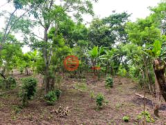 尼加拉瓜Masaya DepartmentMasaya的住宅用地，Finca Los Monos，编号71148962