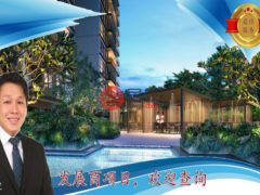 新加坡SingaporeSingapore的公寓，Tampines street 11，编号53170137