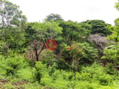 尼加拉瓜Masaya DepartmentMasaya的住宅用地，Finca Los Monos，编号71148962
