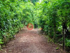 尼加拉瓜Masaya DepartmentMasaya的住宅用地，Finca Los Monos，编号71148962