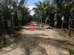 马来西亚沙巴博福特的农业用地，188.78 acres of Oil Palm Plantation，编号76207020