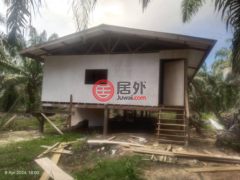 马来西亚沙巴博福特的农业用地，188.78 acres of Oil Palm Plantation，编号76207020