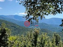 美国佐治亚州Young Harris的住宅用地，None #50 Harris Ridge Road，编号69721739