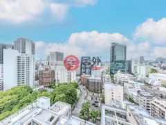 日本JapanTokyo的公寓，编号78035300
