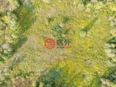 加拿大安大略省纽马克特的独栋别墅，编号75842915