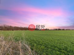 美国德克萨斯州格林维尔的住宅用地，Lot 11 TBD County Rd 1057，编号78330509