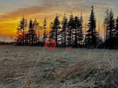 加拿大新斯科舍省Inverness的住宅用地，Broad Cove Banks，编号77734564