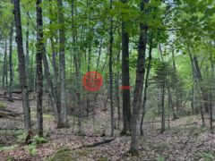 美国威斯康星州Minocqua的住宅用地，None Lot 127 WOODHILL CT，编号78136220
