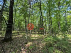 美国威斯康星州Minocqua的住宅用地，None Lot 127 WOODHILL CT，编号78136220