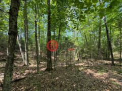 美国威斯康星州Minocqua的住宅用地，None Lot 127 WOODHILL CT，编号78136220