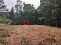 美国南卡罗来纳州艾诺丽的住宅用地，Highway 56，编号75611011