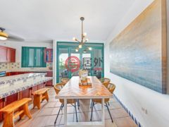 波多黎各Puerto RicoRio Grande的公寓，6000 Rio Mar Blvd. Vistas del Cacique Apt. 7367，编号77918795