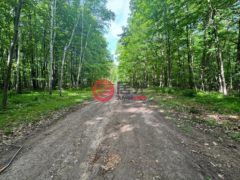 美国威斯康星州克兰登的住宅用地，None On ALLEN RD，编号77893990