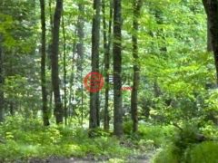 美国威斯康星州克兰登的住宅用地，None On ALLEN RD，编号77893990