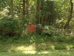 美国马里兰州Chestertown的农业用地，Cloquet Road，编号77173987