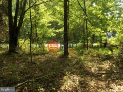 美国马里兰州Chestertown的农业用地，Cloquet Road，编号77173987