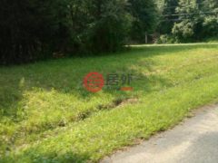 美国马里兰州Chestertown的农业用地，Cloquet Road，编号77173987
