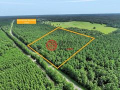 美国德克萨斯州拉夫金的住宅用地，5700 FM 2497，编号78442902