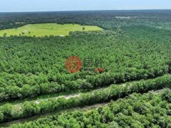 美国德克萨斯州拉夫金的住宅用地，5700 FM 2497，编号78442902