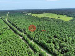 美国德克萨斯州拉夫金的住宅用地，5700 FM 2497，编号78442902