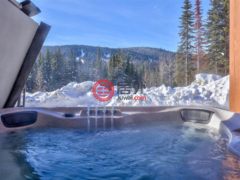 加拿大不列颠哥伦比亚省Sun Peaks的公寓，7005 MCGILLIVRAY LAKE，编号75524995
