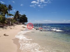 巴巴多斯Northern DistrictSaint James的独栋别墅，The Beach Hut Prospect，编号53271934