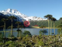 居外网在售智利Curacautín总占地12000000平方米的住宅用地