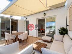 西班牙马德里马德里的公寓，Castellana，编号77885063