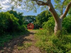波多黎各Puerto RicoVieques的住宅用地，Lot 1 78 Puerto Ferro，编号76436230