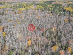 美国威斯康星州菲尔普斯的住宅用地，None Off HAWK SOUP LN，编号77773574