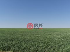 美国科罗拉多州阿克伦的农业用地，None 18755 Hwy 36，编号62535012
