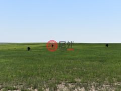 美国科罗拉多州阿克伦的农业用地，None 18755 Hwy 36，编号62535012