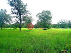 美国德克萨斯州Waelder的住宅用地，None 1825 Armstrong-Derry Road，编号77387883
