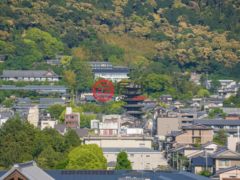 日本JapanKyoto的公寓，编号78035346
