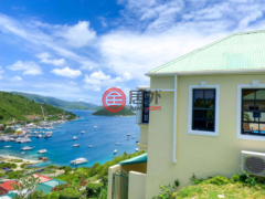 英属维尔京群岛的独栋别墅，编号78475444