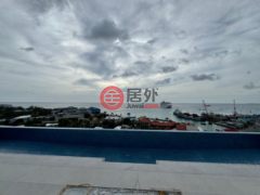 开曼群岛的公寓，167UNIT1005AA，编号78514581