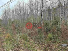 加拿大新斯科舍省New Germany的住宅用地，Highway 10，编号75526455