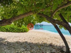 开曼群岛的公寓，208H1，编号78514613