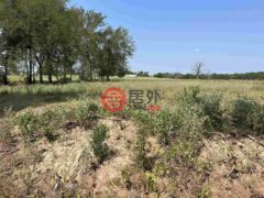 美国德克萨斯州Troup的农业用地，3.35 ACRES tbd County Road 2169，编号76835736